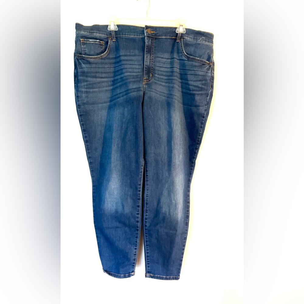 Terra & Sky 22W skinny jeans